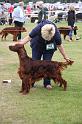 Copper's Champagne On Ice At Aoibheanne (35)